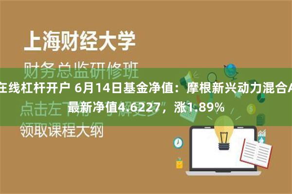 在线杠杆开户 6月14日基金净值：摩根新兴动力混合A最新净值4.6227，涨1.89%