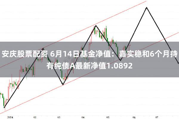 安庆股票配资 6月14日基金净值：嘉实稳和6个月持有纯债A最新净值1.0892