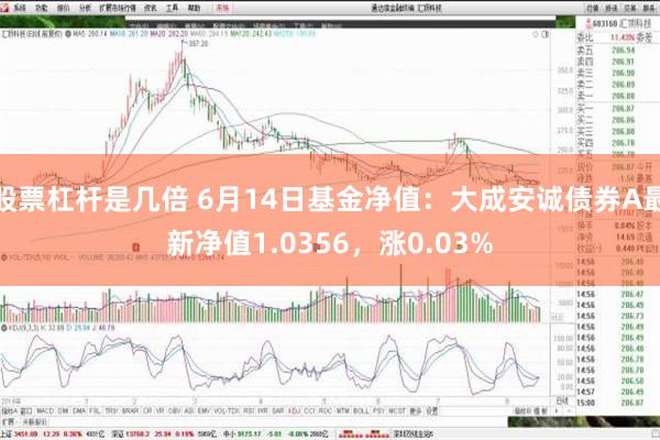 股票杠杆是几倍 6月14日基金净值：大成安诚债券A最新净值1.0356，涨0.03%