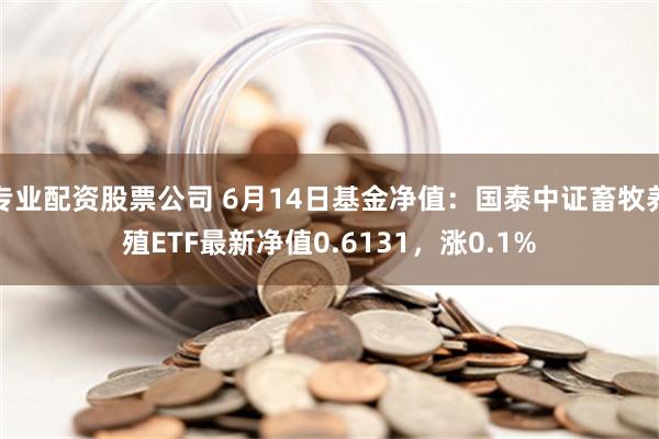 专业配资股票公司 6月14日基金净值：国泰中证畜牧养殖ETF最新净值0.6131，涨0.1%