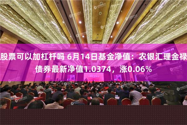 股票可以加杠杆吗 6月14日基金净值：农银汇理金禄债券最新净值1.0374，涨0.06%