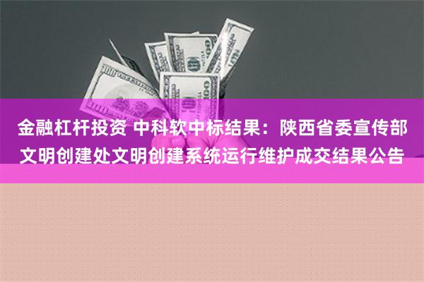 金融杠杆投资 中科软中标结果：陕西省委宣传部文明创建处文明创建系统运行维护成交结果公告