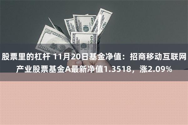 股票里的杠杆 11月20日基金净值：招商移动互联网产业股票基金A最新净值1.3518，涨2.09%